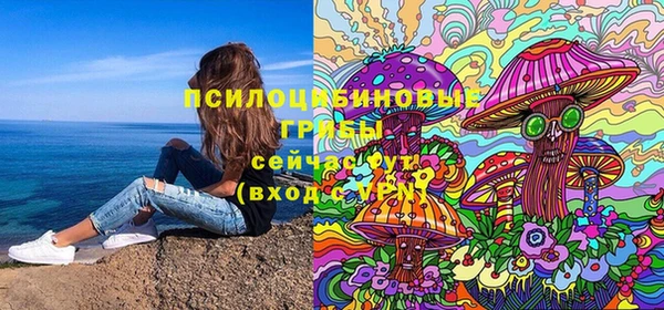 бошки Волоколамск
