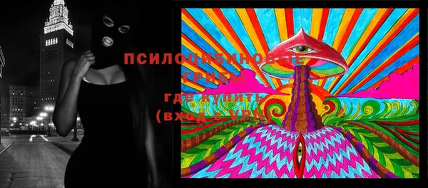 спиды Волосово