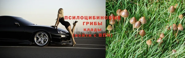 бошки Волоколамск